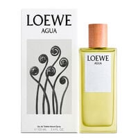 AGUA  100ml-196690 AGUA  100ml-196690 1